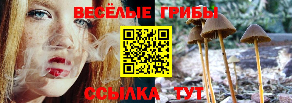 Нижневартовск  Галлюциногенные грибы прущие грибы  Вход с VPN 